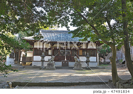 【春日神社】 大阪府柏原市田辺1 【春日神社】 大阪府柏原市田辺1 47491834