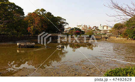 大村公園（水が抜かれたバージョン）（長崎県大村市） 47492629