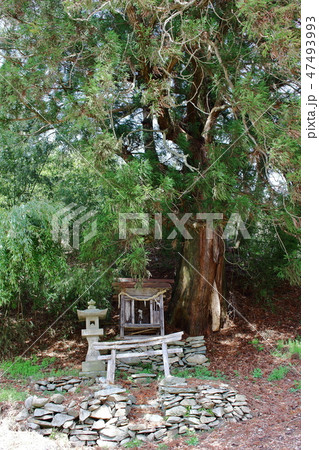 古来の祠 その1901 古来の祠 その1901 47493993