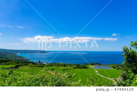 東後畑棚田と日本海 東後畑棚田と日本海 47494120