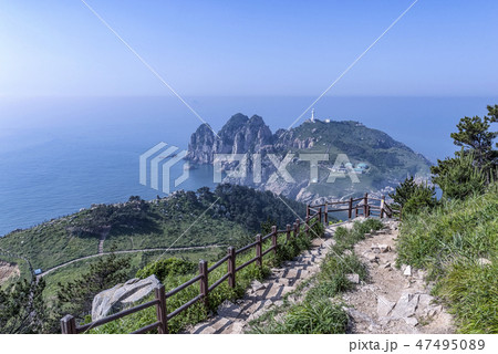 灯台島 海 島 47495089