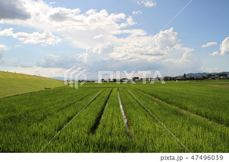 朝倉市(水害前) 朝倉市(水害前) 47496039