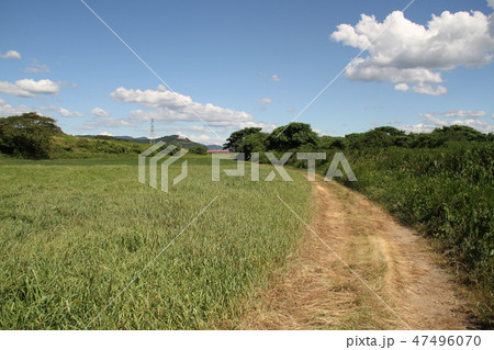 朝倉市（水害前） 47496070