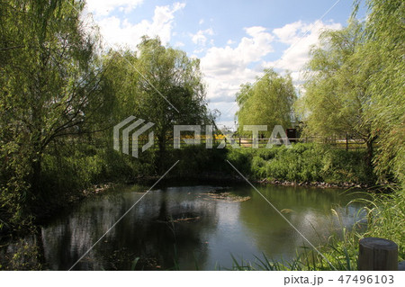 朝倉市（水害前） 47496103