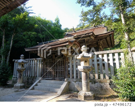 鳥取東照宮　本殿 47496172