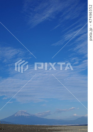 三保の松原 三保の松原 47496352