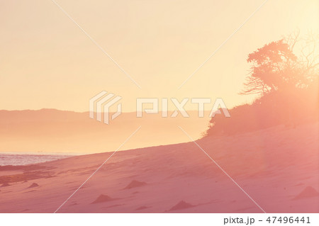 Hawaiian beach at sunrise Hawaiian beach at sunrise 47496441