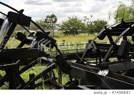 朝倉市（水害前:水車メイン） 47496687