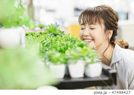 ホームセンター 観葉植物 ガーデニング ホームセンター 観葉植物 ガーデニング 47498427