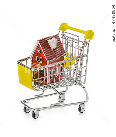 Toy house in shopping cart 47498904