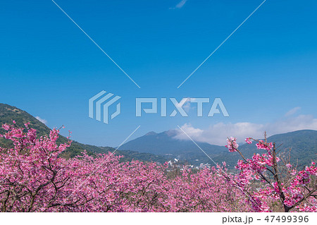 春 泉 湧水 47499396