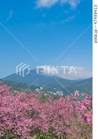 春 泉 湧水 47499413