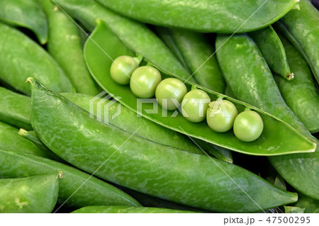 グリンピース グリンピース 47500295