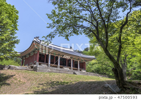 南漢山城 光州市 韓国 47500593