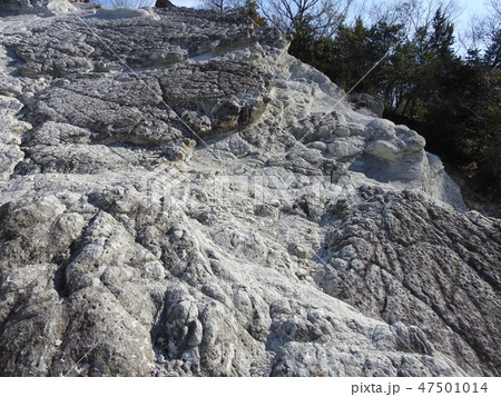 火山岩 47501014