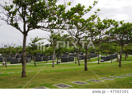 沖縄戦跡国定公園（平和祈念公園） 47502101