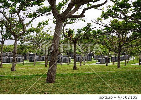沖縄戦跡国定公園(平和祈念公園) 沖縄戦跡国定公園(平和祈念公園) 47502105