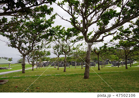 沖縄戦跡国定公園（平和祈念公園） 47502106