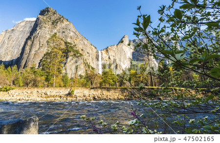 Yosemite National park ,California,usa. Yosemite National park ,California,usa. 47502165