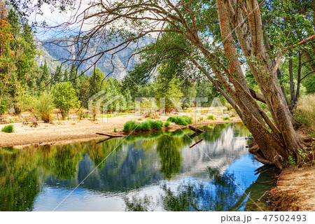 Yosemite Valley.  47502493