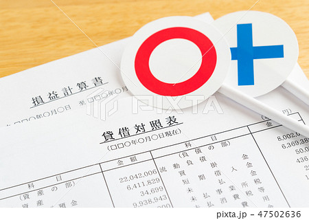 ○×　貸借対照表　損益計算書　決算 47502636