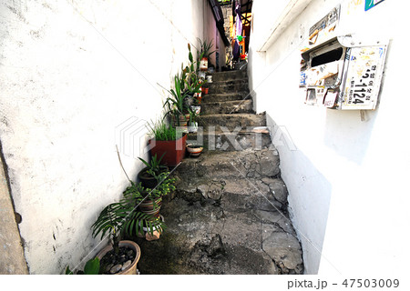 路地 階段 草花 47503009