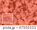 Living Coral color of the Year 2019. Bokeh background with coral in trendy color 47503333