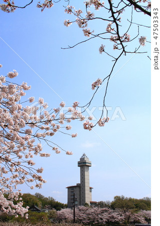 春の尾張旭市　都市風景 47503343