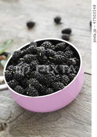 black mulberry berries in a pink pot 47503548