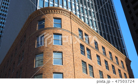 ダイビル 47503724