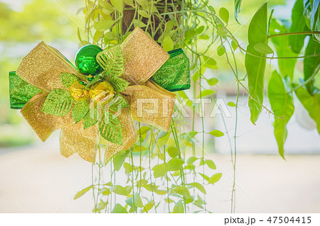 A green ribbon with small ball for decorate A green ribbon with small ball for decorate 47504415