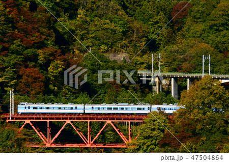 189系あずさ色 ホリデー快速富士山 189系あずさ色 ホリデー快速富士山 47504864