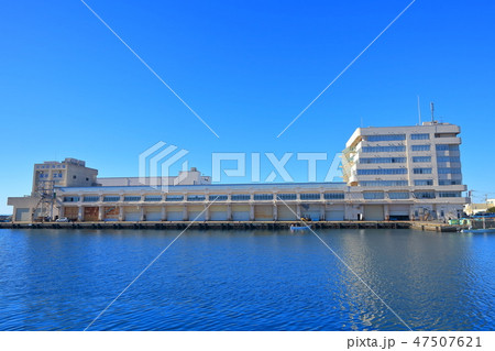 【神奈川県】みさき魚市場 47507621