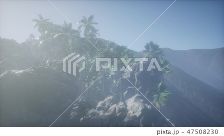 4k Amazing Sunrise at Palm Oil Tree Plantation 47508230