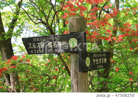 群馬県 榛名山(相馬山)の道標(スルス峠の分岐) 47508250