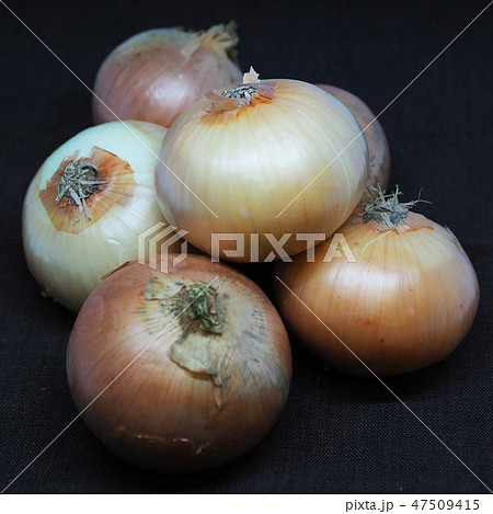 オーガニックイメージ(たまねぎ:自然質感) オーガニックイメージ(たまねぎ:自然質感) 47509415