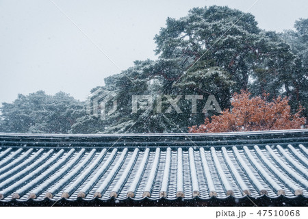 韓国 風景 人なし 47510068