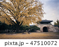 韓国 風景 人なし 47510072