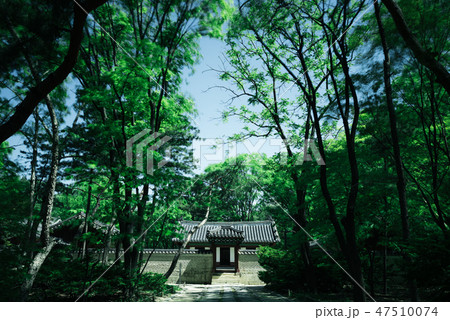 韓国 風景 人なし 47510074