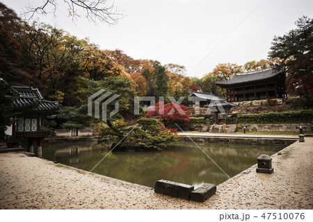韓国 風景 人なし 47510076