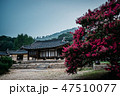 韓国 風景 人なし 47510077