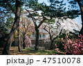 韓国 風景 人なし 47510078