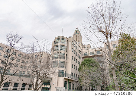 聖路加国際病院旧館 聖路加国際病院旧館 47510286
