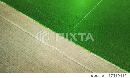 Field as a background. Agricultural landscape Field as a background. Agricultural landscape 47510412