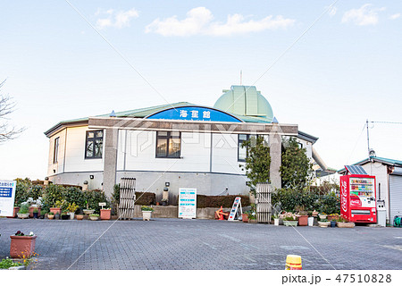 大分県・関崎海星館 47510828
