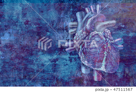 Human Heart Concept Human Heart Concept 47511567