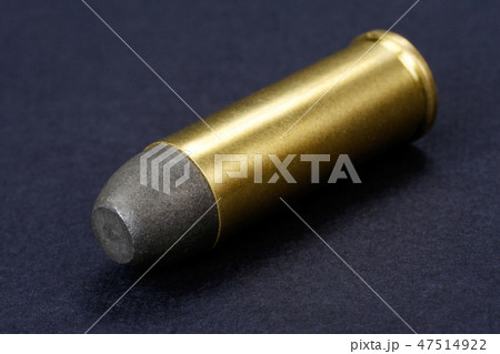 Black-powder round .45 cal. dating to 1872 47514922