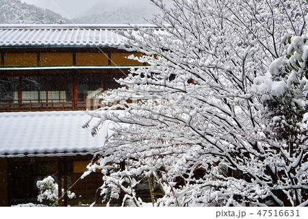 日本の雪景色 日本の雪景色 47516631