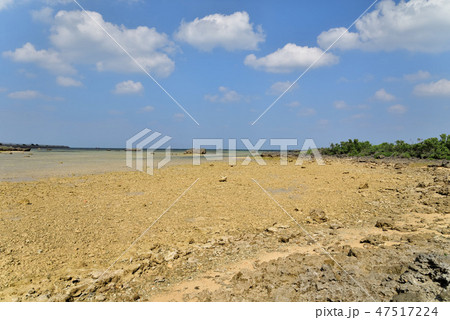 宮古島/佐和田浜海岸 宮古島/佐和田浜海岸 47517224