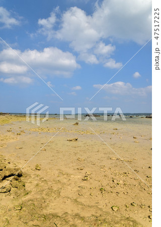 宮古島/佐和田浜海岸 宮古島/佐和田浜海岸 47517225